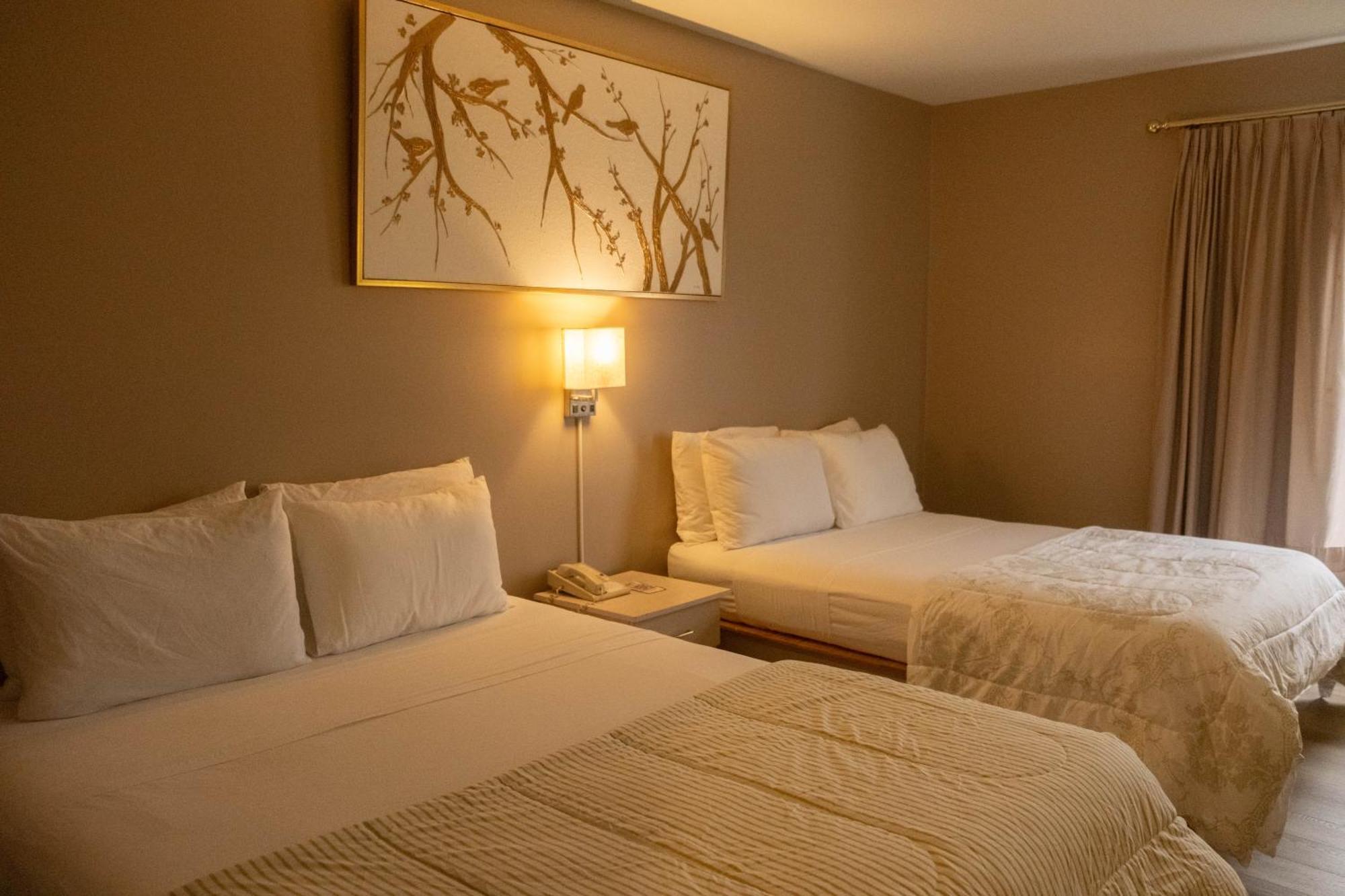 Hotel Saint-Come Zewnętrze zdjęcie